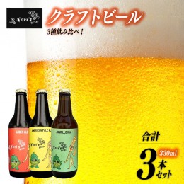 【ふるさと納税】[5839-1928]Nori`s Beer　クラフトビール３本セット