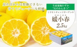 【ふるさと納税】見た目からは想像できない濃厚な甘さ!希少柑橘 媛小春(ひめこはる) 2.5kg＜C25-144＞【1378626】