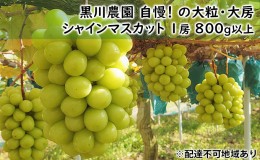 【ふるさと納税】ぶどう 2024年 先行予約 黒川農園 自慢 ! の 大粒 大房 シャイン マスカット 1房 800g以上 ブドウ 葡萄  岡山県産 国産 