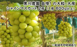 【ふるさと納税】ぶどう 2024年 先行予約 黒川農園 自慢 ! の 大粒 大房 シャイン マスカット 2房 （1房 800g以上） ブドウ 葡萄  岡山県