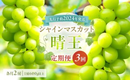 【ふるさと納税】ぶどう 定期便 2024年 先行予約 シャイン マスカット 晴王 各月2房（1房600g以上） 3回コース マスカット ブドウ 葡萄  