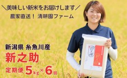 【ふるさと納税】令和6年産新米予約 米【定期便】新之助 5kg×6ヶ月 計30kg 新潟県 糸魚川産  農家直送 真空パック 清耕園ファーム しん