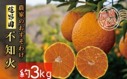 【ふるさと納税】【先行予約】【3月中旬〜発送】 不知火（デコポンと同一品種） B品 家庭用 3kg  | 訳あり 柑橘類 先行予約 果物 フルー