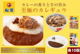 【ふるさと納税】松屋 カレー 牛めし 20個 セット 冷凍 牛丼 カレー