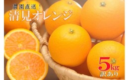 【ふるさと納税】清見オレンジ 5kg（大小混合）《ご家庭用》ちょっと訳あり【北海道・沖縄県・一部離島 配送不可】