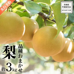 【ふるさと納税】《 先行予約 》 品種おまかせ 梨 約 3kg（ 茨城県共通返礼品： かすみがうら市 ）【 2024年 9月発送 】 フルーツ 果物 