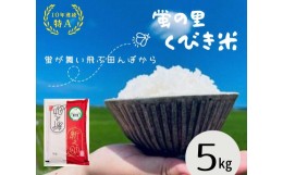 【ふるさと納税】【令和5年産】新潟上越産新之助　5kg｜しんのすけ シンノスケ 米 お米 こめ おすすめ 人気 ふるさと納税  新潟 新潟県産