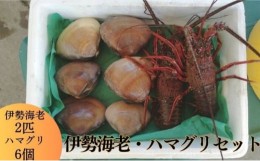 【ふるさと納税】伊勢海老 ハマグリ　茅ヶ崎の幸 豪華セット　新鮮朝どれ　烏帽子産　漁師からそのままお届け　