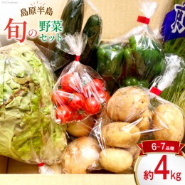 【ふるさと納税】島原半島の旬の野菜 セット 6〜7品種 約4kg [まるまさ 長崎県 雲仙市 item1213] 野菜 やさい 旬 詰め合わせ 食べ比べ 期