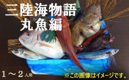 【ふるさと納税】三陸海物語　丸魚編（１〜2人用）【 無添加 鮮魚 三陸産 国産 天然 海鮮 お刺身 魚介 魚介類 詰め合わせ セット 鮮魚BOX