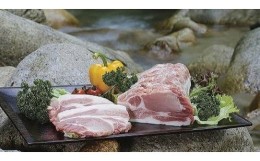 【ふるさと納税】大町銀嶺豚【豚肉ロース（約100ｇ×6枚）】と信州アルプス牛【牛肉肩ロースすきしゃぶ用（約500ｇ）】セット