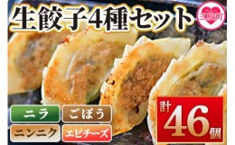 【ふるさと納税】【数量限定！】＜福栄生餃子店餃子4種(ニラ・ごぼう・ニンニク・エビチーズ)セット＞【MI286-fu】【福栄生餃子店】