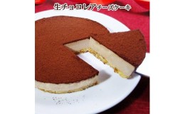 【ふるさと納税】【エニシダ】生チョコレアチーズケーキ