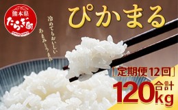 【ふるさと納税】【定期便12回】多良木町産 『ぴかまる』 ＜5kg×2袋＞×12回 計120kg【 定期便 定期配送 精米 お米 米 艶 粘り 甘み う