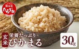 【ふるさと納税】【玄米】 多良木町産 『ぴかまる』 30kg【 熊本県 たらぎ お米 米 艶 粘り 甘み うま味 やわらか 熊本のお米 30キロ 栄