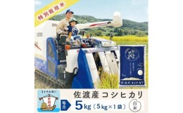 【ふるさと納税】【3か月定期便】佐渡島産コシヒカリ 白米5Kg 令和5年産 特別栽培米