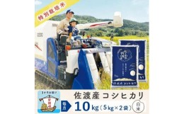 【ふるさと納税】【3か月定期便】佐渡島産コシヒカリ 白米10Kg 令和5年産 特別栽培米