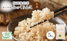 【ふるさと納税】玄米 ふっくりんこ 5kg　特別栽培米産地直送《帰山農園》
