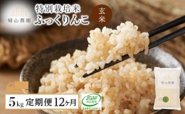 【ふるさと納税】【定期便 12ヶ月】特別栽培米産地直送 玄米 ふっくりんこ 5kg×12回 《帰山農園》