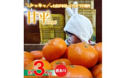 【ふるさと納税】【愛媛県産】甘平 約3kg 訳あり  ＜2025年1月下旬〜発送予定＞ 柑橘 みかん 果物 くだもの フルーツ おすすめ 高級 人気