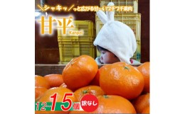 【ふるさと納税】【愛媛県産】甘平 約12-15個入 訳なし ＜2025年1月下旬〜発送予定＞ 柑橘 みかん 果物 くだもの フルーツ おすすめ 高級