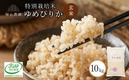 【ふるさと納税】玄米 ゆめぴりか 10kg　特別栽培米産地直送《帰山農園》