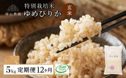 【ふるさと納税】【定期便 12ヶ月】特別栽培米産地直送 玄米 ゆめぴりか 5kg×12回 《帰山農園》