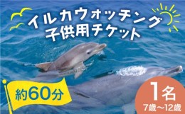 【ふるさと納税】南島原 イルカウォッチング  子ども用 1人用 チケット / イルカ 観光 南島原市 / 南島原イルカウォッチング [SAE003]