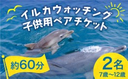 【ふるさと納税】南島原 イルカウォッチング  子ども用 ペアチケット / イルカ 観光 南島原市 / 南島原イルカウォッチング [SAE004]