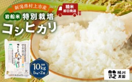 【ふるさと納税】AB4038 【令和5年産米】【精米即日発送】 新潟県村上市桃川産 特別栽培 コシヒカリ 10kg（5kg×2袋）