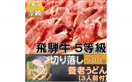 【ふるさと納税】【飛騨牛５等級】切り落し　500g　養老うどん付(3人前)[?5215-0306]