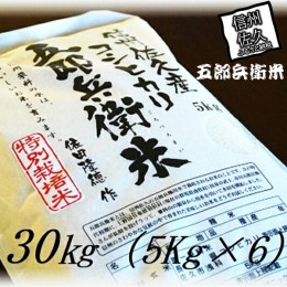 【ふるさと納税】【令和５年産　新米】特別栽培米 五郎兵衛米 30Kg（5Kg×6） GW-0300 オーガニック研究会【 お米 コシヒカリ こしひかり