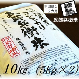 【ふるさと納税】【令和５年産　新米】定期便 特別栽培米 五郎兵衛米 10Kg 6カ月 GW-0106 オーガニック研究会【 お米 コシヒカリ こしひ