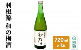 【ふるさと納税】利根錦 和の梅酒 720ml×1本 リキュール