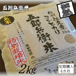 【ふるさと納税】【令和５年産　新米】定期便 特別栽培米 五郎兵衛米 玄米 2Kg 6カ月 GW-0026 オーガニック研究会【 お米 コシヒカリ こ