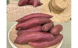 【ふるさと納税】KBE-58　焼き芋好きのためのさつま芋　紅はるか5kg【茨城県共通返礼品・行方市産】