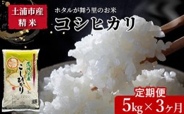 【ふるさと納税】【定期便 3ヶ月】令和5年産　土浦市産 コシヒカリ　精米5kg　ホタルが舞う里のお米※離島への配送不可