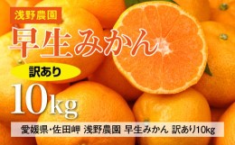 【ふるさと納税】【先行予約】浅野農園の早生みかん 訳あり10kg｜柑橘 みかん ミカン フルーツ 果物 愛媛 ※2024年11月上旬〜11月中旬頃