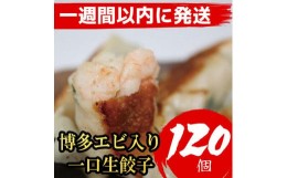 【ふるさと納税】【120個】  博多エビ入り一口生餃子（15個×8パック）【1週間以内に発送！】作り方説明付き