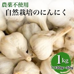 【ふるさと納税】【2024年産 予約】にんにく 1kg 京都府・亀岡産 自然栽培のかたもとオーガニックファームよりお届け※2024年5月末頃より