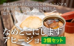 【ふるさと納税】滑床渓谷の美しい水が育てた川魚使用！「なめとこにじますアヒージョ」3個セット※離島への配送不可※着日指定不可