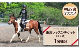 【ふるさと納税】乗馬レッスン１回コース（45分） 乗馬 トレッキング 体験チケット アウトドア  [DE008sa]