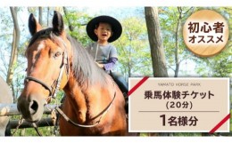 【ふるさと納税】乗馬体験１回コース（20分）  乗馬 トレッキング 体験チケット アウトドア  [DE007sa]
