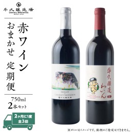 【ふるさと納税】【 3ヶ月隔月 】 赤ワイン おまかせ 定期便 2本セット 飲み比べ 茨城県産 牛久醸造場 厳選 750ml × 2本 お酒 ワイン ワ