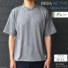 【ふるさと納税】【AH034】REDA active Tシャツ グレー