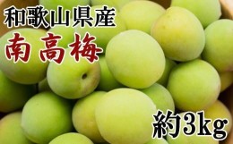 【ふるさと納税】【和歌山名産】南高梅約3kg（サイズ混合）・秀品【2024年6月より順次発送】