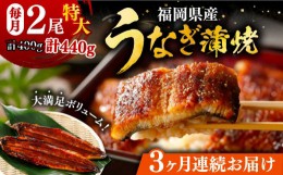 【ふるさと納税】【全3回定期便】福岡県産 うなぎ 蒲焼 特大 2尾 合計 440 g（1尾あたり 220g以上）《豊前市》【福岡養鰻】 国産 うなぎ 