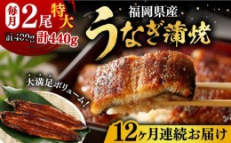 【ふるさと納税】【全12回定期便】福岡県産 うなぎ 蒲焼 特大 2尾 合計 440 g（1尾あたり 220g以上）《豊前市》【福岡養鰻】 国産 うなぎ