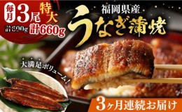 【ふるさと納税】【全3回定期便】福岡県産 うなぎ 蒲焼 特大 3尾 合計 660 g（1尾あたり 220g以上）《豊前市》【福岡養鰻】 国産 うなぎ 