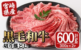 【ふるさと納税】宮崎県産黒毛和牛切り落とし(600g・300g×2P)【SJ009】【日本ハムマーケティング株式会社】